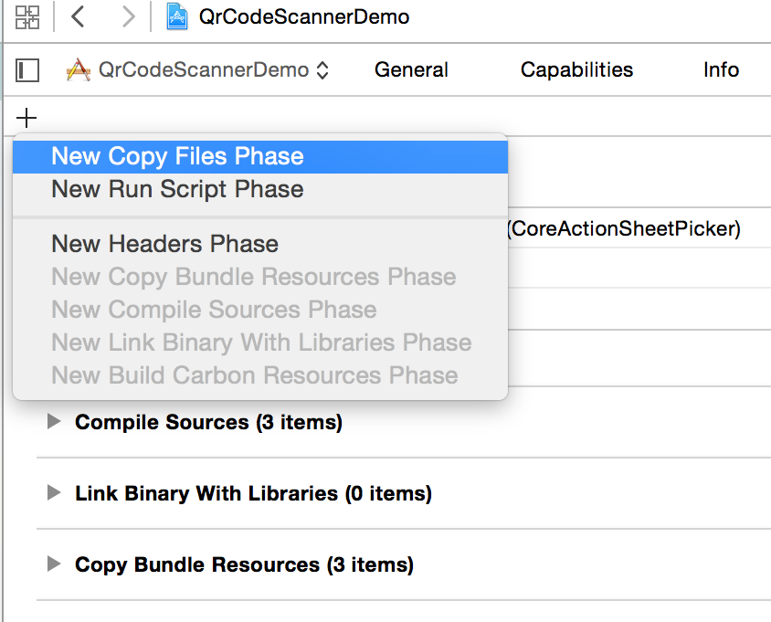 ProjectSetting